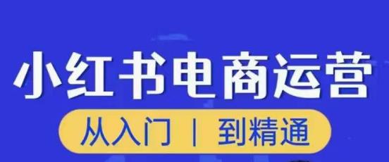 顽石小红书电商高阶运营课程，从入门到精通，玩法流程持续更新-学习笔记资源库