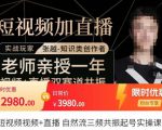 张越·短视频+直播,自然流三频共振起号实操课,短视频所有流量玩法讲解-学习笔记资源库