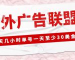 外面收费1980的最新国外LEAD广告联盟搬砖项目,单号一天至少30美金【详细玩法教程】-学习笔记资源库