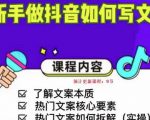 新手做抖音如何写文案，手把手实操如何拆解热门文案-学习笔记资源库