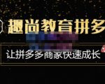 趣尚教育·拼多多运营实操VIP特训营,让拼多多商家快速成长-价值3180元-学习笔记资源库