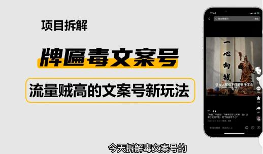 2023抖音快手毒文案新玩法，牌匾文案号，起号快易变现-学习笔记资源库