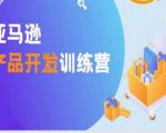 亚马逊产品开发训练营,能爆单的产品开发方法,助你突出重围-学习笔记资源库