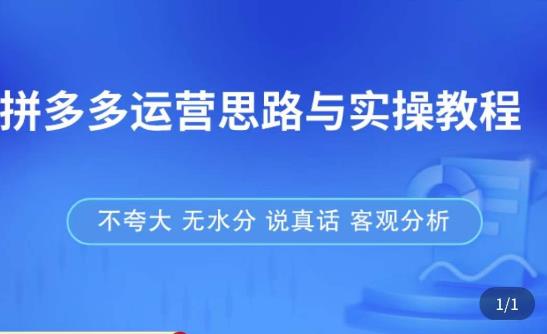 拼多多店铺运营思路与实操教程，快速学会拼多多开店和运营，少踩坑，多盈利-学习笔记资源库