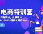 美团电商特训营:美团·店群玩法,无脑铺货月产出6000-15000+精细化月产2w+-学习笔记资源库
