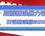 豆瓣精准暴力引流,日引精准粉500+【12课时】-学习笔记资源库