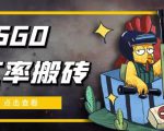 外面9800的CSGO汇率搬砖项目,一个月轻松赚几千【选品软件+详细教程】-学习笔记资源库