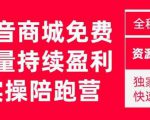 抖音商城搜索持续盈利陪跑成长营,抖音商城搜索从0-1、从1到10的全面解决方案-学习笔记资源库