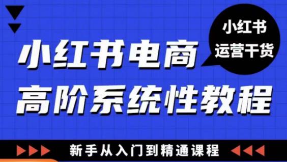 小红书电商高阶系统教程，新手从入门到精通系统课-学习笔记资源库