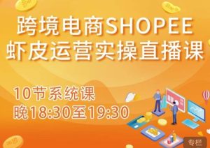 跨境电商Shopee虾皮运营实操直播课,从零开始学,入门到精通(10节系统课)-学习笔记资源库