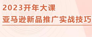 2023亚马逊新品推广实战技巧,线下百万美金课程的精简版,简单粗暴可复制,实操性强的推广手段-学习笔记资源库