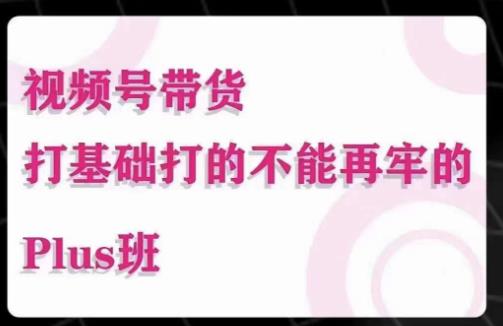 大播汇·视频号带货Puls班，视频号底层逻辑，起号自然流鱼塘等玩法-学习笔记资源库