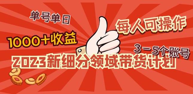 2023新细分领域带货计划：单号单日1000+收益不难，每人可操作3-5个账号-学习笔记资源库