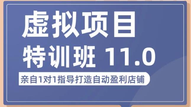 陆明明·虚拟项目特训班（10.0+11.0），0成本获取虚拟素材，0基础打造自动盈利店铺-学习笔记资源库
