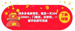 2023拼多多电商项目,稳定一天300~3000+,门槛低,出单快,一部手机即可完成-学习笔记资源库