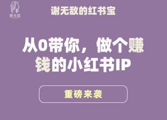 谢无敌·小红书运营大宝典，从0带你做个赚钱的小红书IP-学习笔记资源库