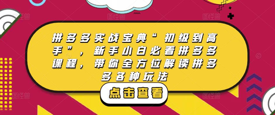 拼多多实战宝典“初级到高手”，新手小白必看拼多多课程，带你全方位解读拼多多各种玩法-学习笔记资源库