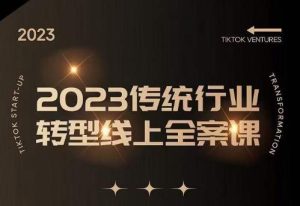 数据哥2023传统行业转型线上全案课,2023年传统行业如何转型线上,线上创业/传统转型避坑宝典-学习笔记资源库