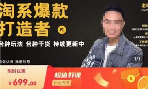 锋投老叶全店动销,淘系干货汇总,各种玩法,淘系爆款打造者-学习笔记资源库