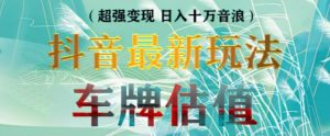 抖音最新无人直播变现直播车牌估值玩法项目,轻松日赚几百+【详细玩法教程】-学习笔记资源库