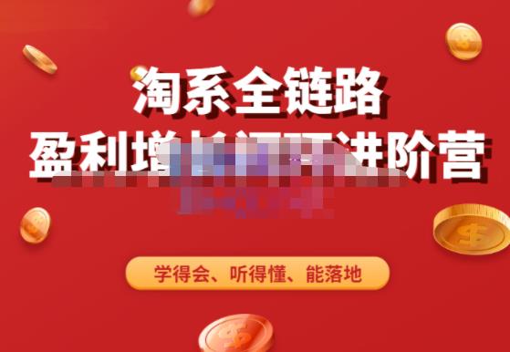 淘系全链路盈利增长闭环进阶营，融合全店动销，学得会、听得懂、能落地！-学习笔记资源库