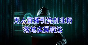 外面收费3980的无人直播引流创业粉落地实操玩法,单日引100+精准创业粉-学习笔记资源库