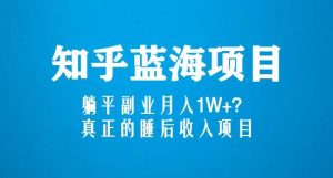 知乎蓝海玩法，躺平副业月入1W+，真正的睡后收入项目（6节视频课）-学习笔记资源库