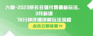 大炮·2023拼多多强付费最新玩法,3月新课78分钟详细讲解玩法流程-学习笔记资源库