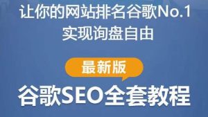 谷歌SEO实战教程:如何让你的网站在谷歌排名第一,内容从入门到高阶,适合个人及团队-学习笔记资源库