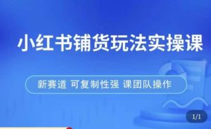 小红书铺货玩法实操课，流量大，竞争小，非常好做，新赛道，可复制性强，可团队操作-学习笔记资源库