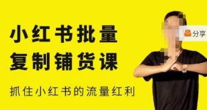 张宾·小红书批量复制铺货课,小红书0-1快速起号变现玩法,抓住小红书的流量红利(更新2023年3月)-学习笔记资源库