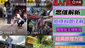 东方糖糖妹抖音短视频全套实战课思维+拍摄+剪辑+运营,从入门到精通-学习笔记资源库