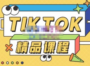 电商孵化中心·TikTok精品课程，教你玩转海外抖音，低成本创业，带您从0开始玩转TikTok-学习笔记资源库