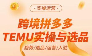 跨境拼多多TEMU实操与选品,掌握平台运营方法技巧,选品避坑12条标准,爆款的底层思路等-学习笔记资源库