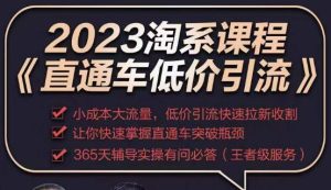 2023直通车低价引流玩法课程，小成本大流量，低价引流快速拉新收割，让你快速掌握直通车突破瓶颈-学习笔记资源库