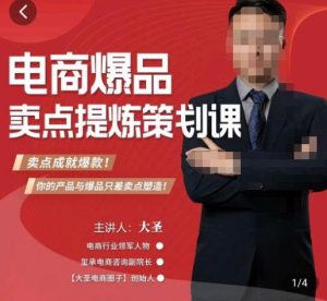 大圣·电商标品爆款卖点策划课,标品卖点成就爆款,可落地卖点提炼课-学习笔记资源库