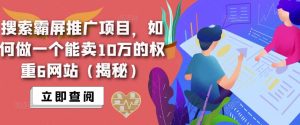 搜索霸屏推广项目，如何做一个能卖10万的权重6网站（揭秘）-学习笔记资源库