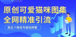 黑科技纯原创可爱猫咪图片，全网精准引流，实操5个VX号被加频繁-学习笔记资源库