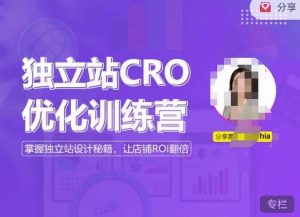 独立站CRO优化训练营,掌握独立站设计秘籍,打造高转化的独立站,让店铺ROI翻倍-学习笔记资源库