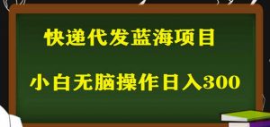 2023最新蓝海快递代发项目,小白零成本照抄也能日入300+-学习笔记资源库