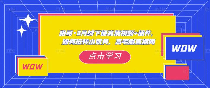 哈哥·3月线下实操课高清视频+课件，如何玩转小而美，高毛利直播间-学习笔记资源库