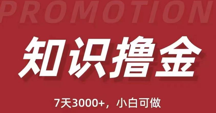 抖音知识撸金项目：简单粗暴日入1000+执行力强当天见收益(教程+资料)-学习笔记资源库