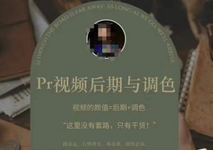 Pr视频后期与调色，视频颜值=后期+调色，这里没有套路，只有干货！-学习笔记资源库