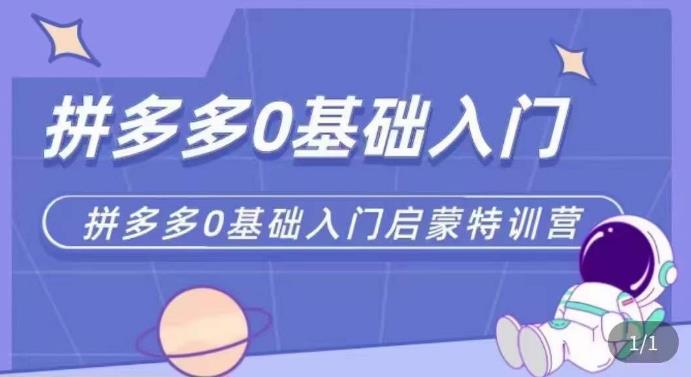 拼多多运营0-1实操特训营，拼多多0基础入门，从基础到进阶的可实操玩法-学习笔记资源库