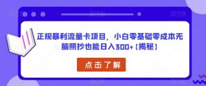 正规暴利流量卡项目,小白零基础零成本无脑照抄也能日入300+【揭秘】-学习笔记资源库