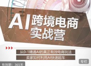白龙老师·AI跨境电商实战营:从0-1精通Al的真正有效电商玩法,卖家如何利用Al快速超车-学习笔记资源库