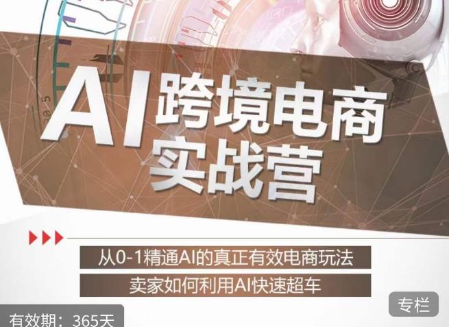 白龙老师·AI跨境电商实战营：从0-1精通Al的真正有效电商玩法，卖家如何利用Al快速超车-学习笔记资源库