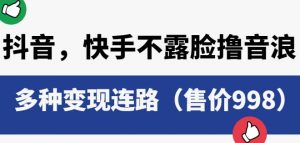 抖音快手不露脸撸音浪项目,多种变现连路(售价998)-学习笔记资源库