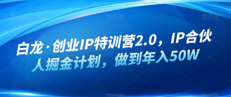 白龙·创业IP特训营2.0，IP合伙人掘金计划，做到年入50W-学习笔记资源库