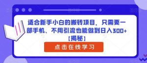 适合新手小白的搬砖项目,只需要一部手机、不用引流也能做到日入300+【揭秘】-学习笔记资源库